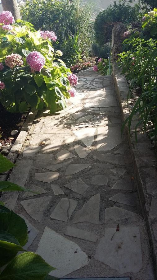 Apartment D&M1 Makarska Dış mekan fotoğraf