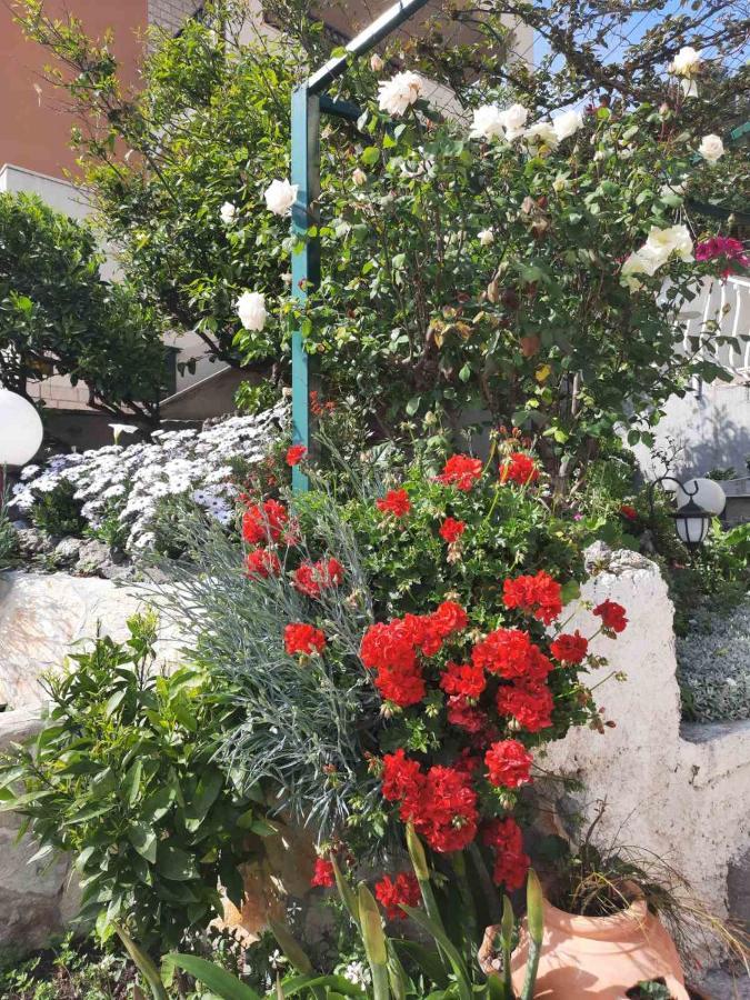 Apartment D&M1 Makarska Dış mekan fotoğraf