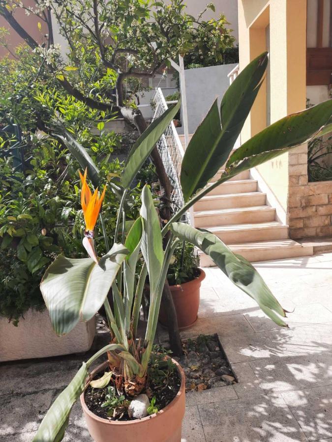 Apartment D&M1 Makarska Dış mekan fotoğraf