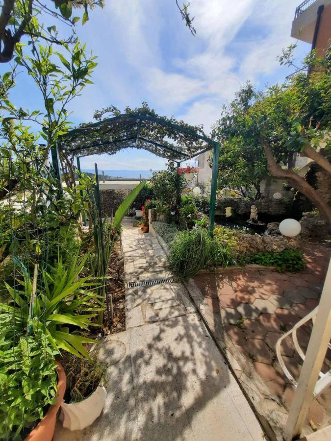 Apartment D&M1 Makarska Dış mekan fotoğraf