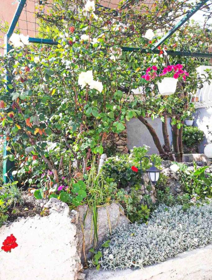 Apartment D&M1 Makarska Dış mekan fotoğraf
